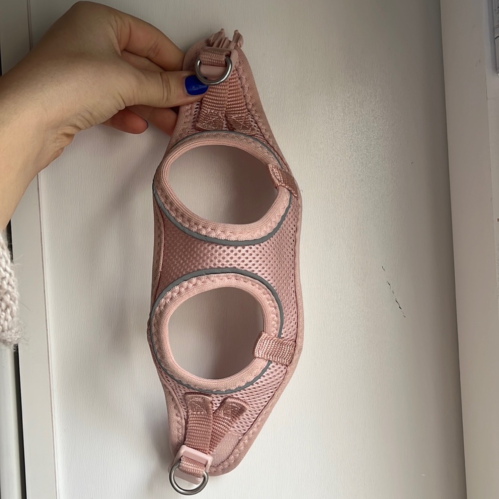 XS Dog Harness